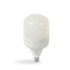 HIGHER WATTAGE BULB